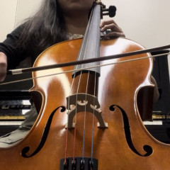 Cello Stolen in San Francisco 12/17,