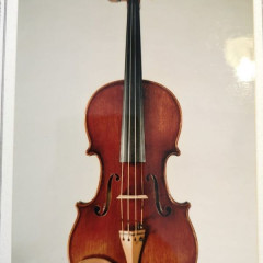 Viola by Miroslav Komar (Prague 2000),