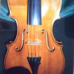 Stolen violin with 2 bows in shaped violin case in TGV at Gare De l'Est Paris on 20 July 2013,