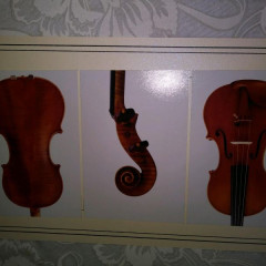 Stolen 2009 Bulgarian Violin and bow.,