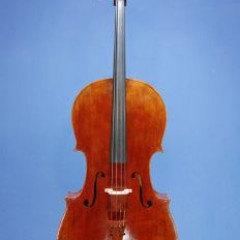Strad-model Robert Brewer Young 2008 + Tubbs bow,