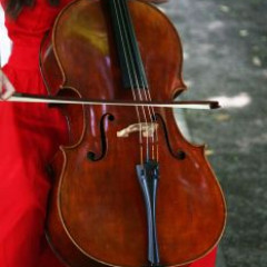 2 Cellos: Karl Hepplewhite and Jay Haide Cellos, 3 Bows: Thomassin, Cirilo & Gérard,
