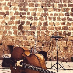 Stolen double bass in Rome,