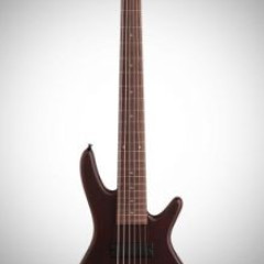 Ibanez 6 string bass,