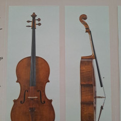 Cello mod.G.B.Guadagnini made in 2016,in Florence by Fabrizio Di Pietrantonio,