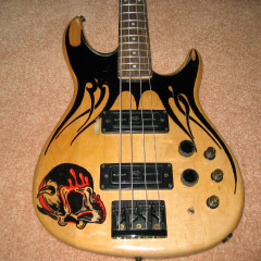 Custom Peavey Dyna Bass,