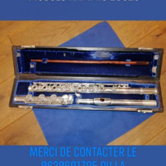 Flute aurumite 14k, N°11134,