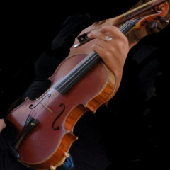 Charles Jacquot violin, 1886,