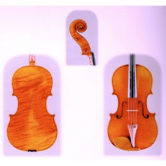 1998 Ravatin viola,