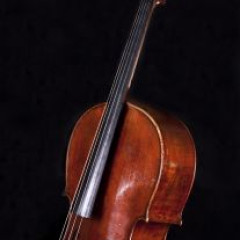 crafted in Italy in ca. 1860 by an unknown luthier. Its lacquer is light red. There's no signature.,