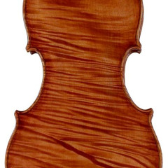 violino 4/4 costruito da Ernesto de Angelis in Napoli  Italia, nel 1999 n°116,