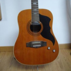 EKO Ranger '1970 ;  12 string acoustic guitar,