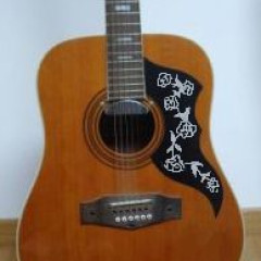 12 String Guitar/Mother of pearl Roses KAWAI, KAWAII, KAWAI1 ???,