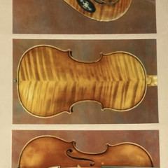 Curtil 1904 Violin and Bows etc stolen from a theatre near Paris,